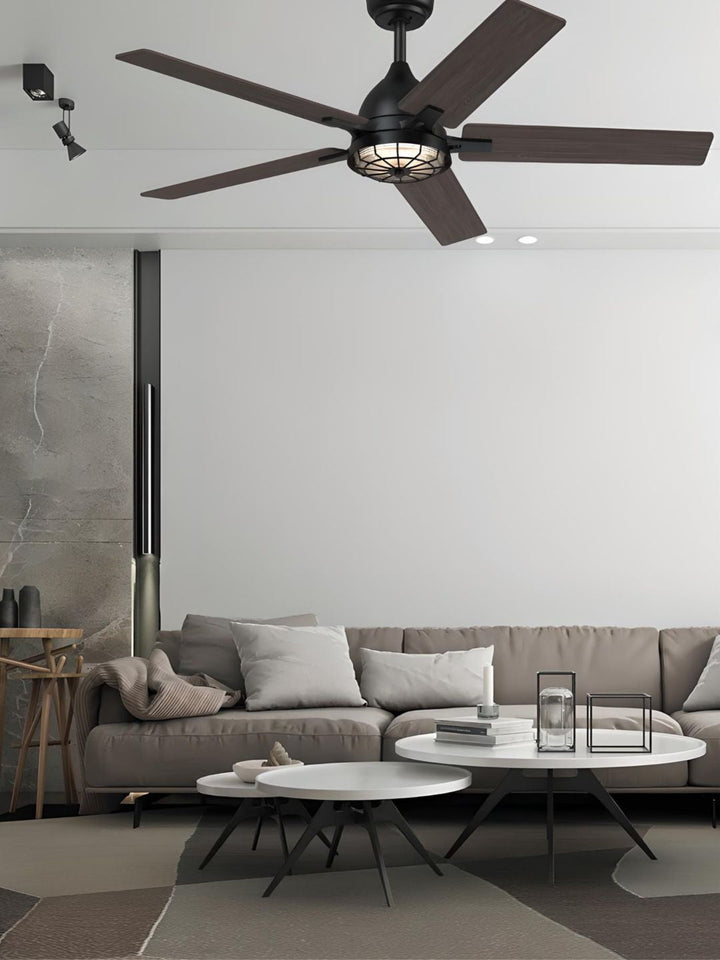 Designer Fans