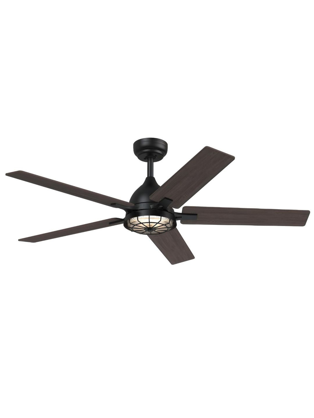 Designer Fans