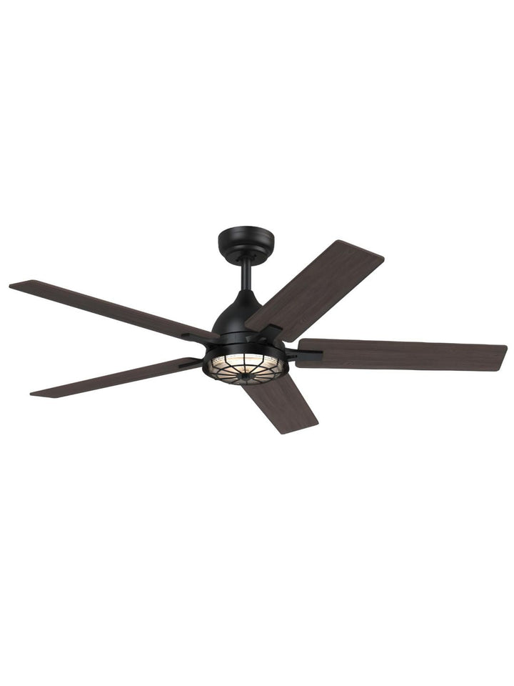 Designer Fans