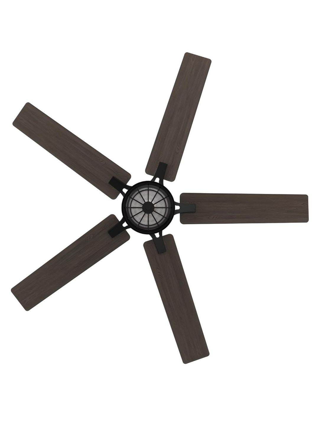 Designer Fans