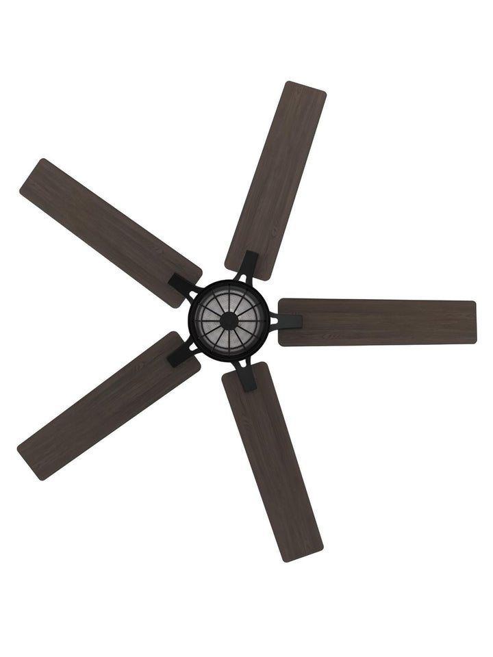 Designer Fans