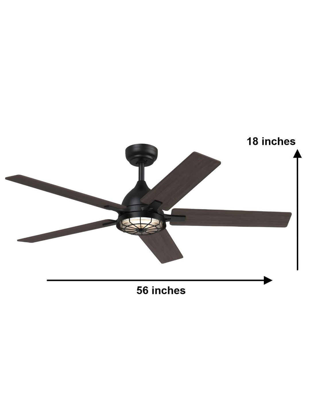Designer Fans