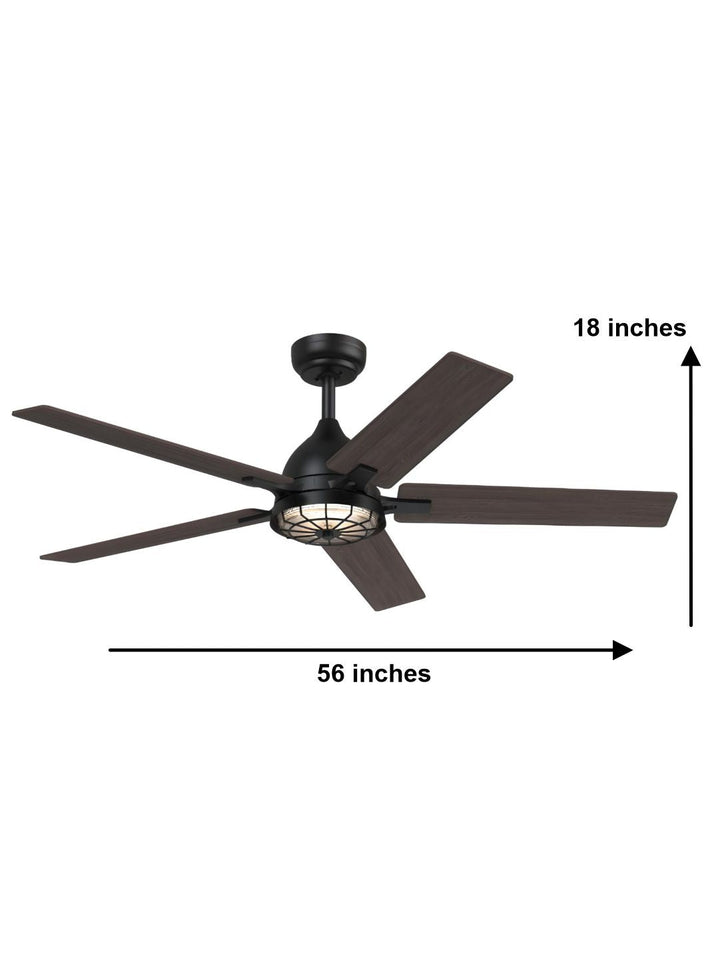 Designer Fans