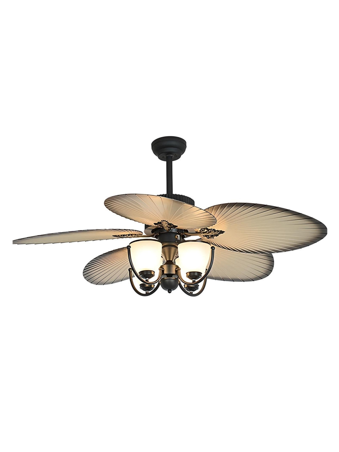 Designer Fans