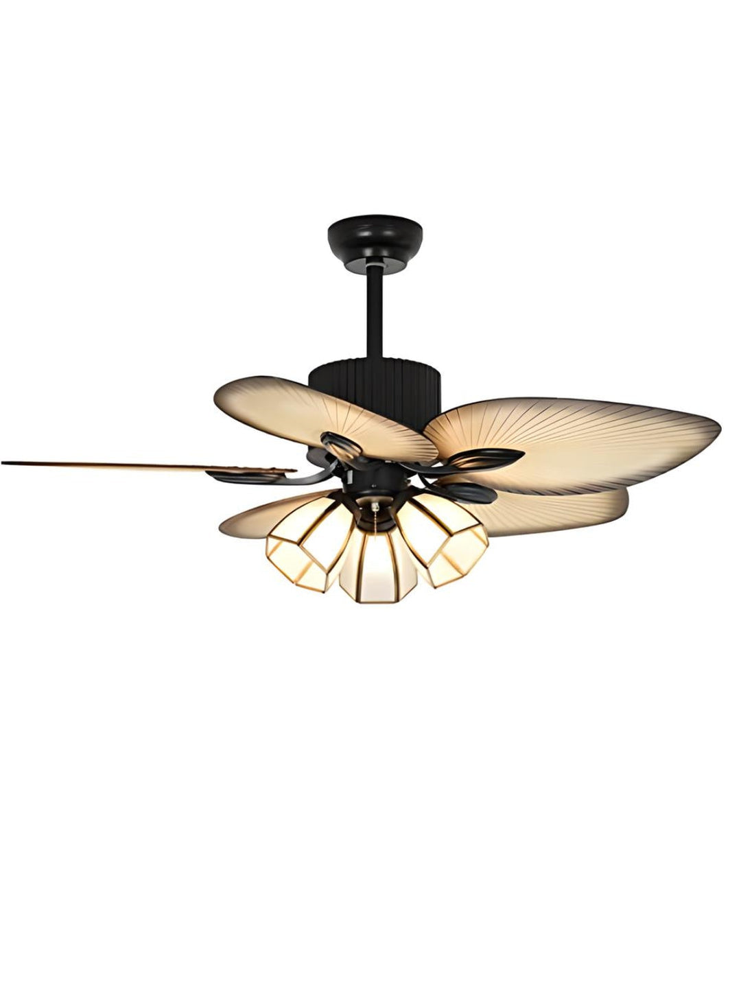 Designer Fans