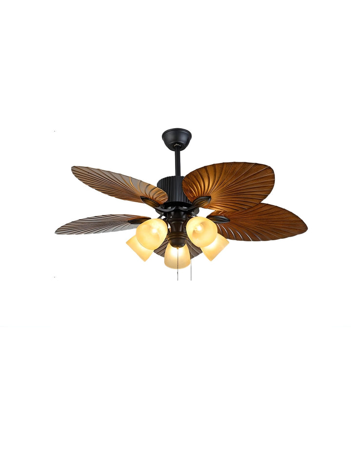 Designer Fans