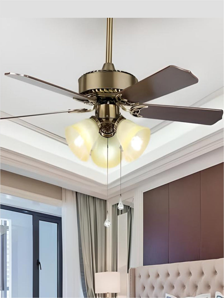 Designer Fans