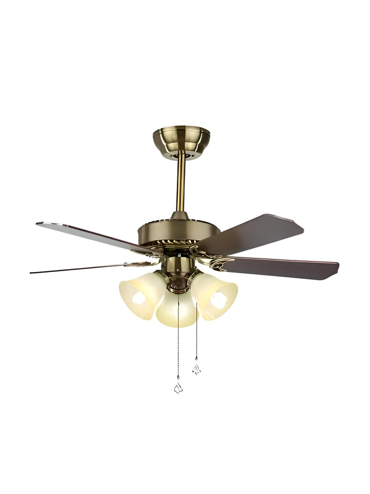 Designer Fans