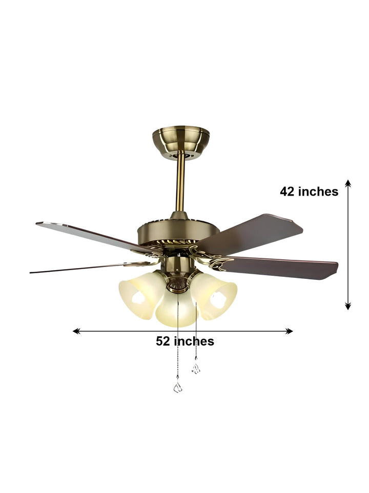 Designer Fans