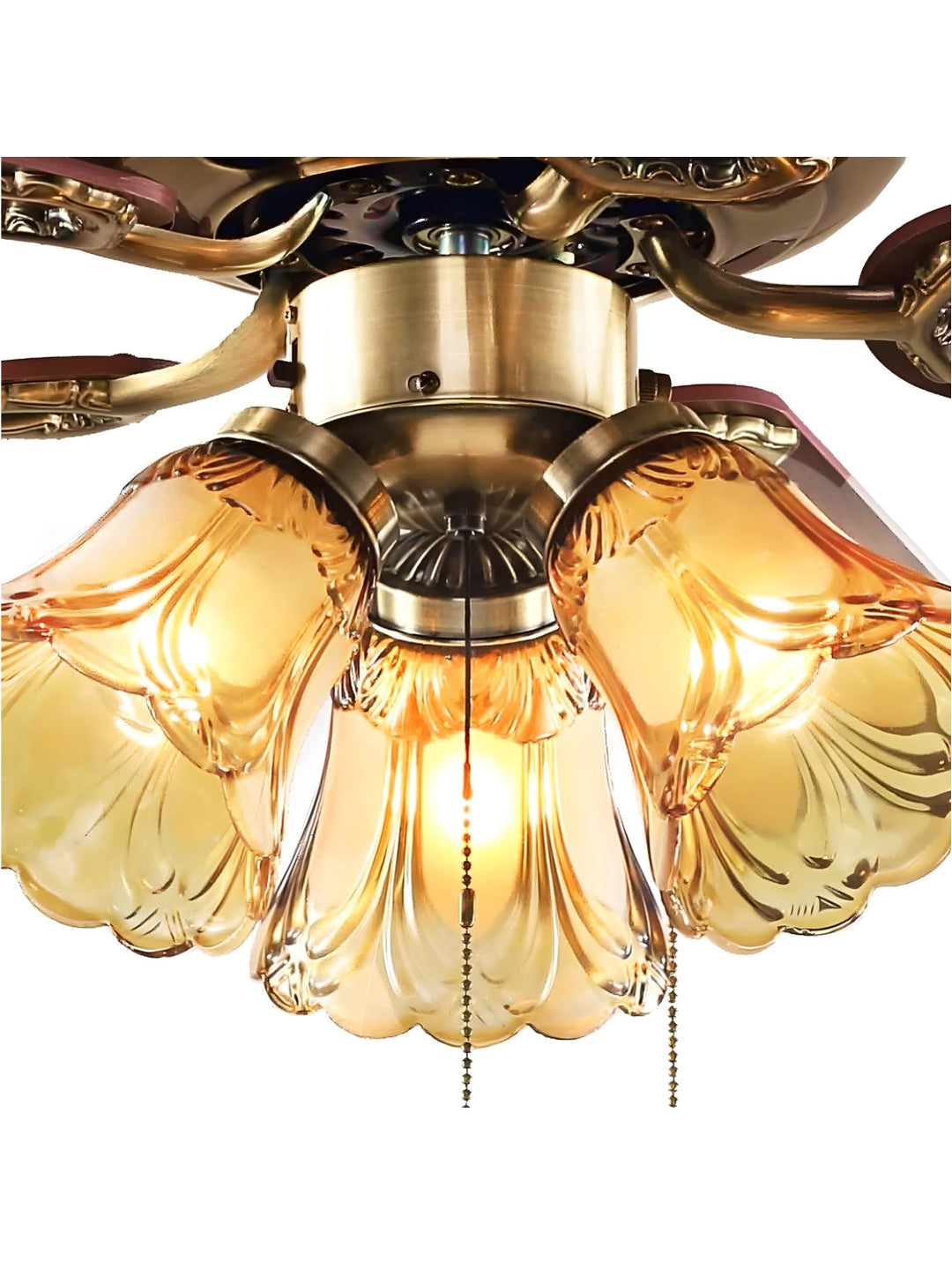 Designer Fans