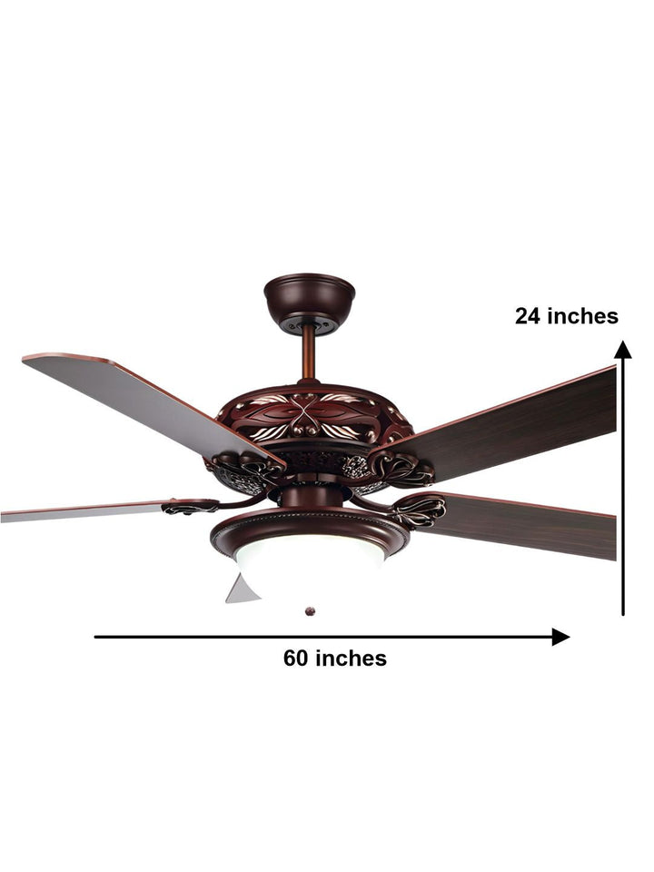 Designer Fans