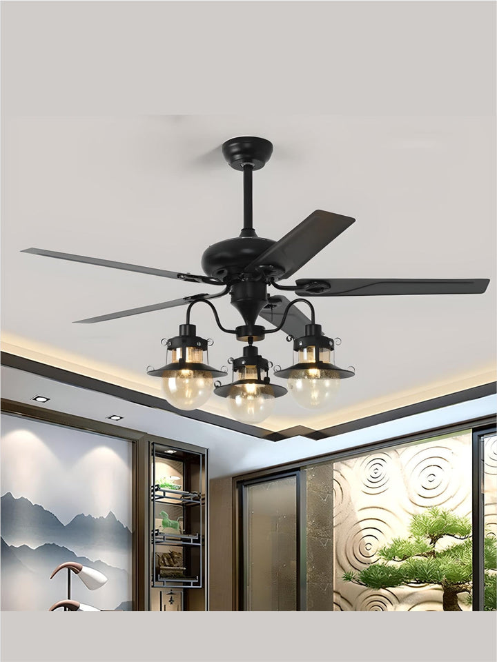 Designer Fans