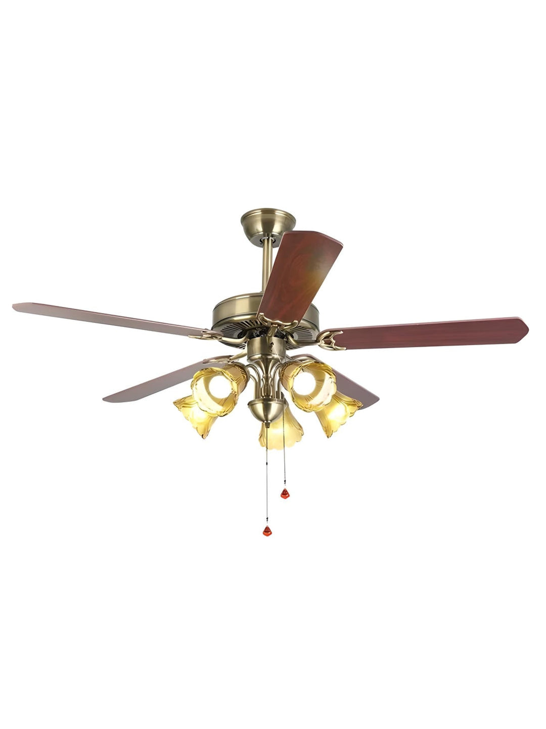 Designer Fans