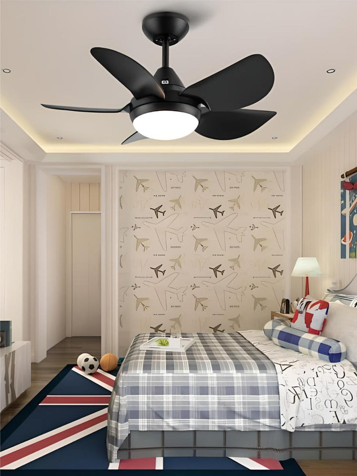 Designer Fans