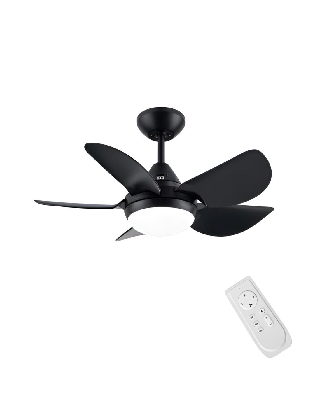 Designer Fans