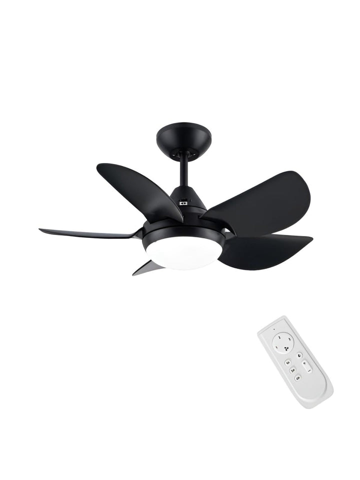 Designer Fans