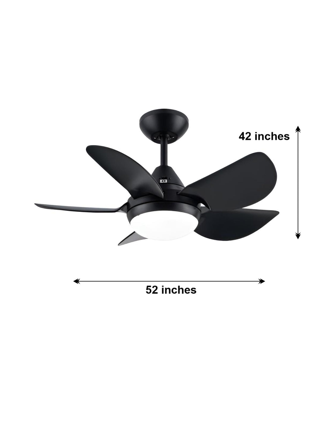 Designer Fans
