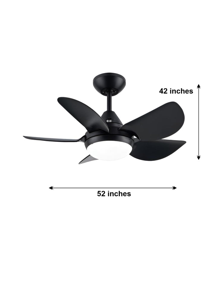 Designer Fans