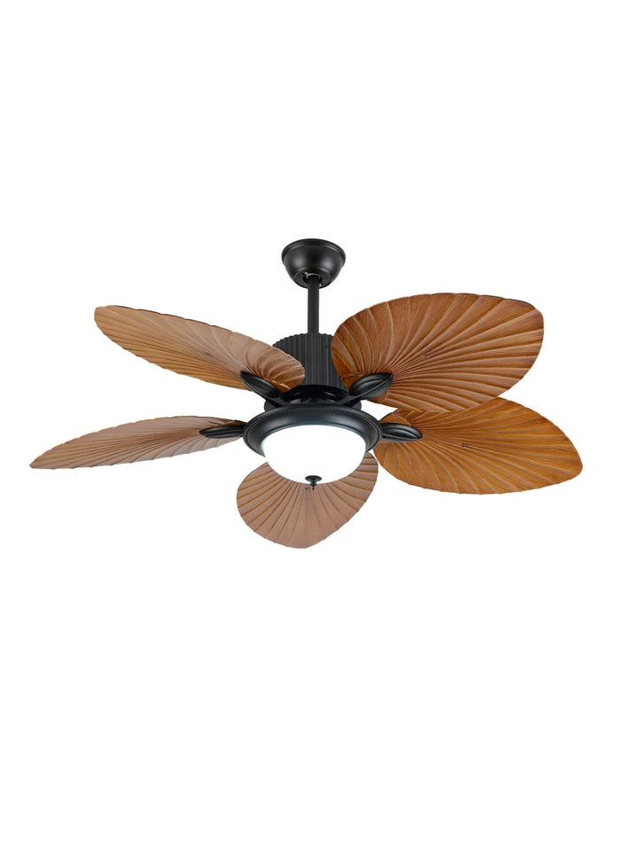 Designer Fans