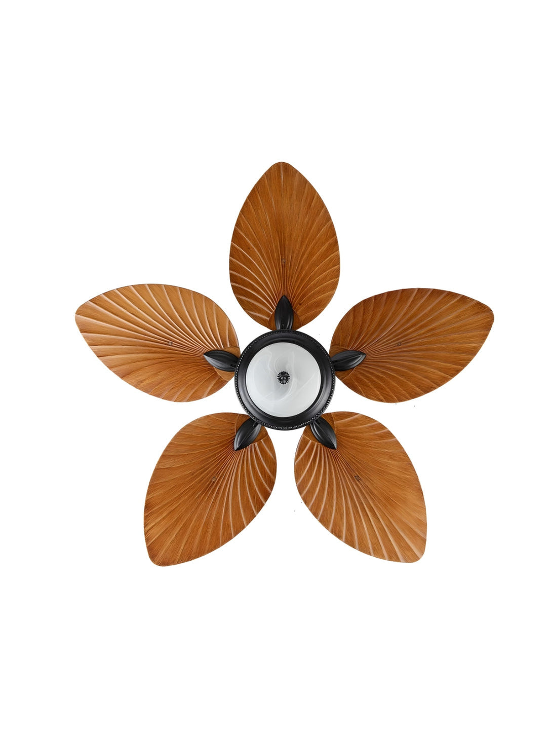 Designer Fans