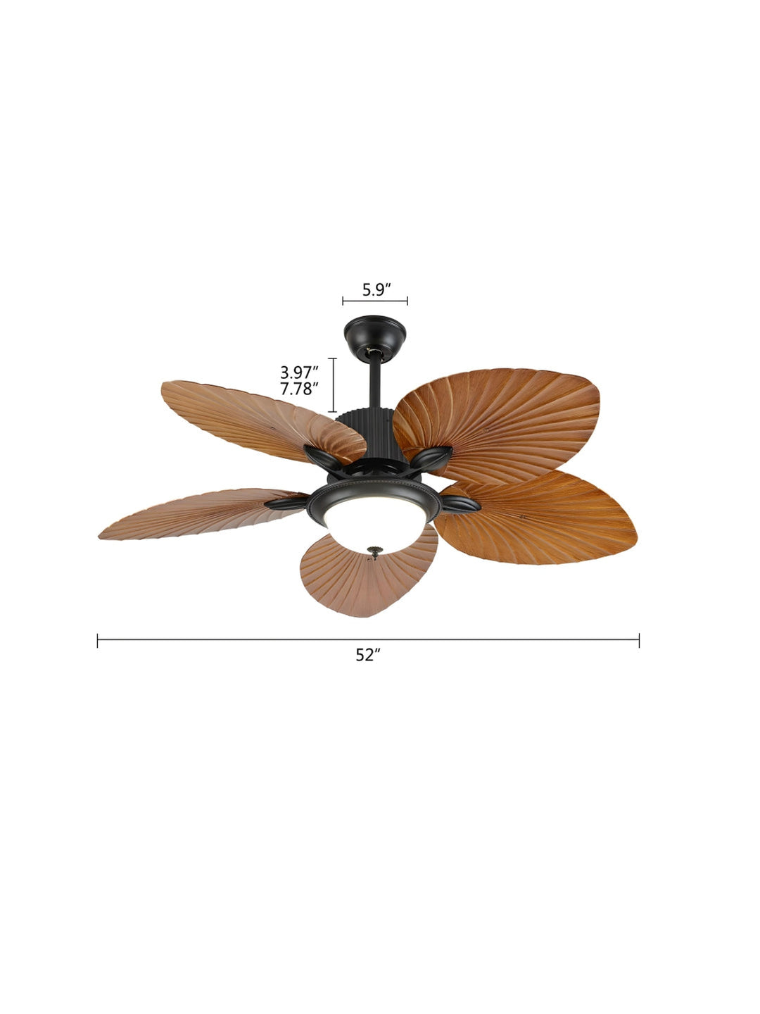 Designer Fans