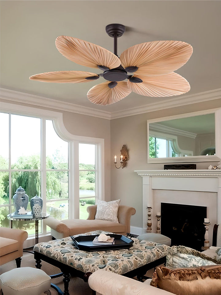 Designer Fans