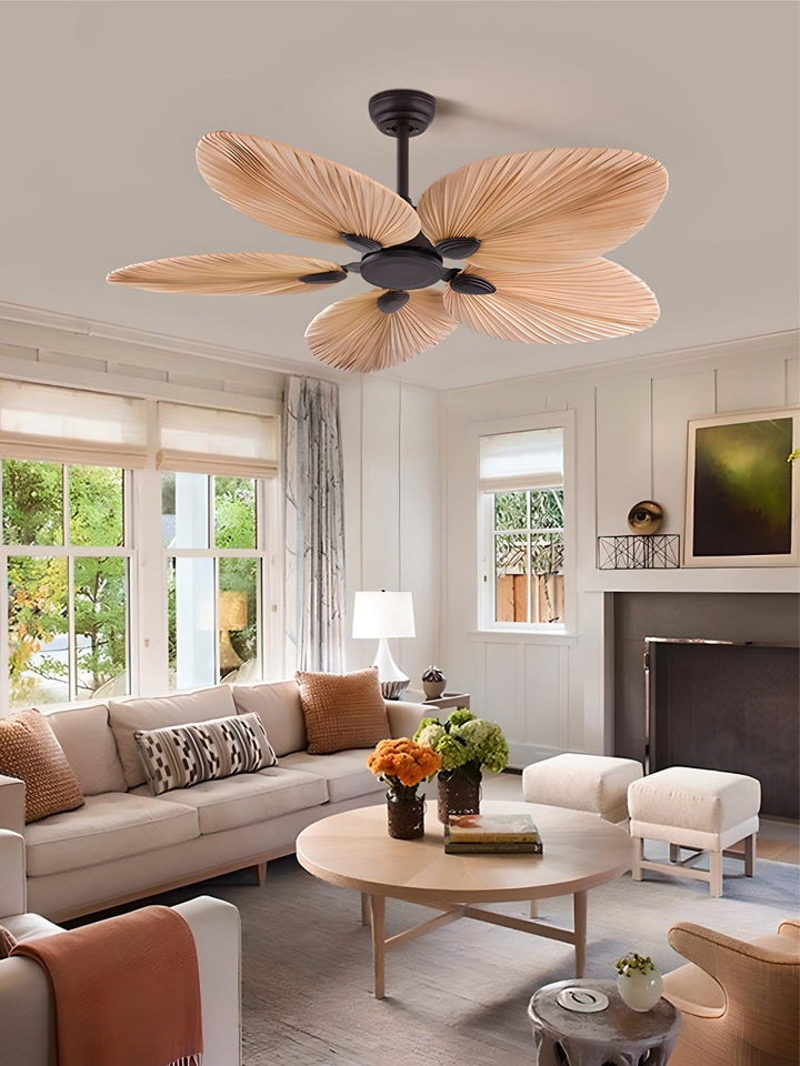 Designer Fans