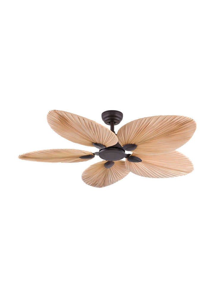 Designer Fans