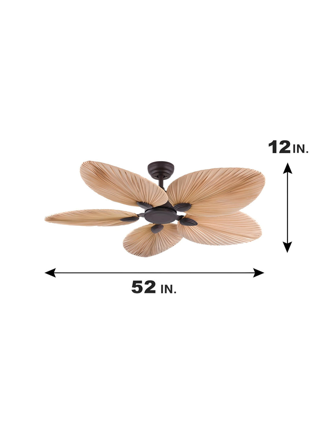 Designer Fans
