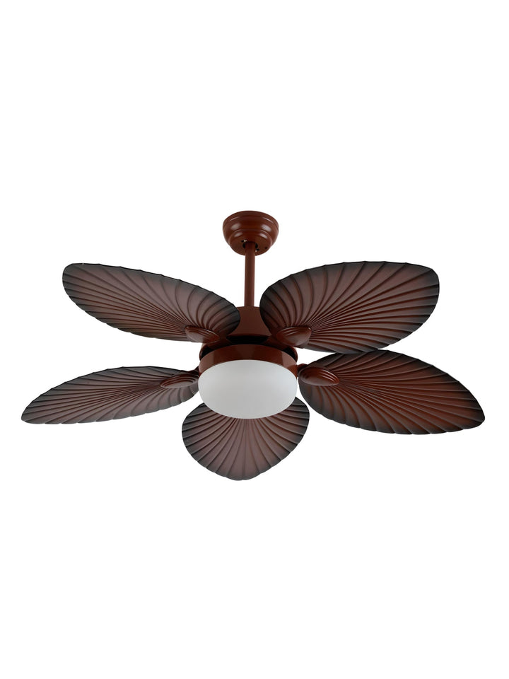 Designer Fans