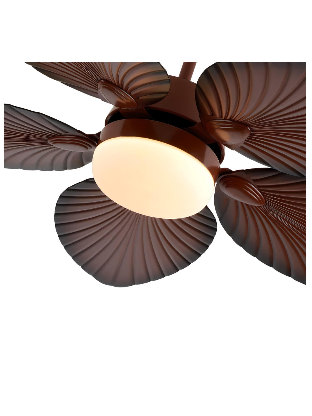 Designer Fans