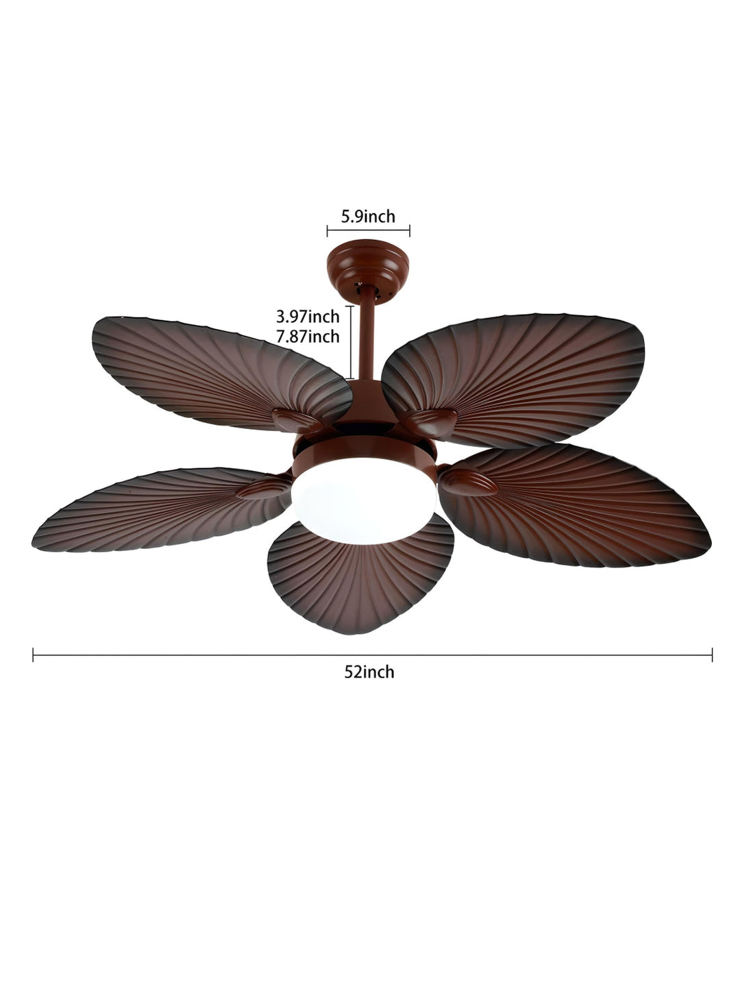 Designer Fans
