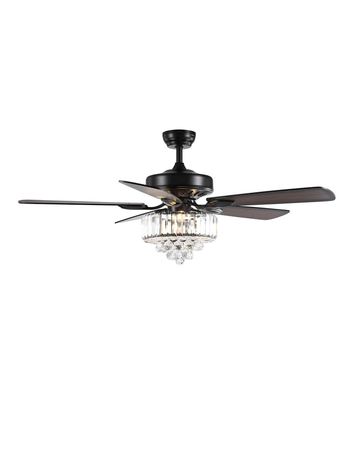 Designer Fans