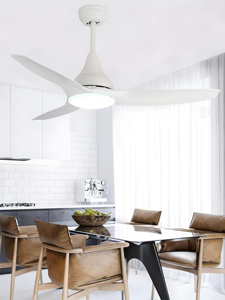 Designer Fans