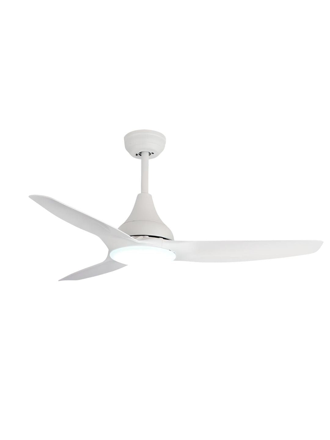 Designer Fans