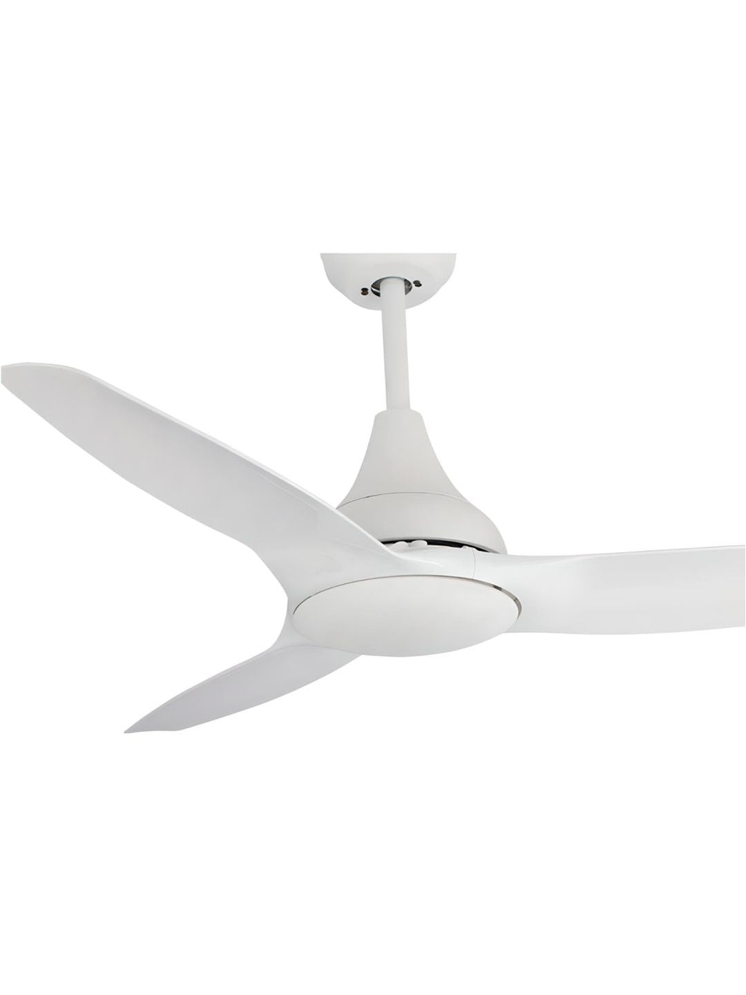 Designer Fans