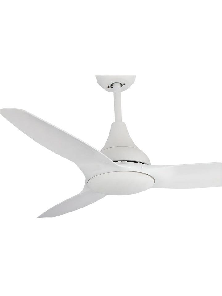 Designer Fans