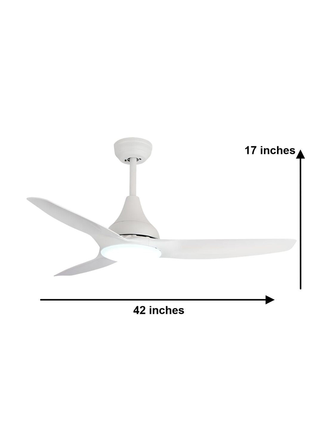 Designer Fans