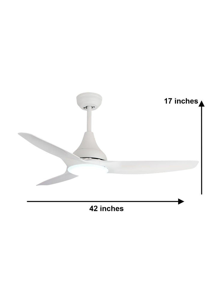 Designer Fans