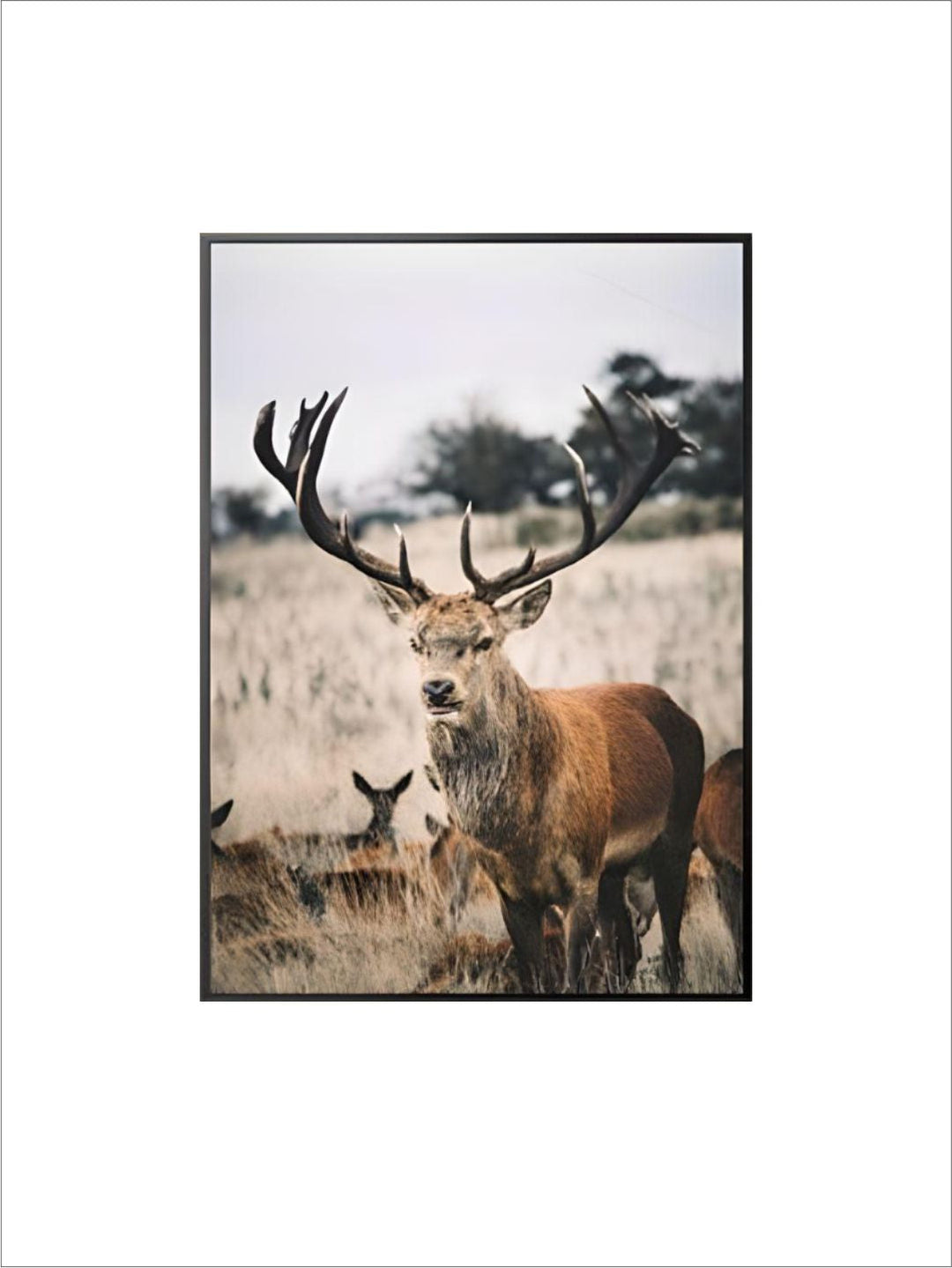 Wilderness Mountain Landscape Nordic Wall Art Wild Animals Forest Deer Rustic Wood Tree Rings Fine Art Canvas Prints Scandinavian Style Home Interior Decor
