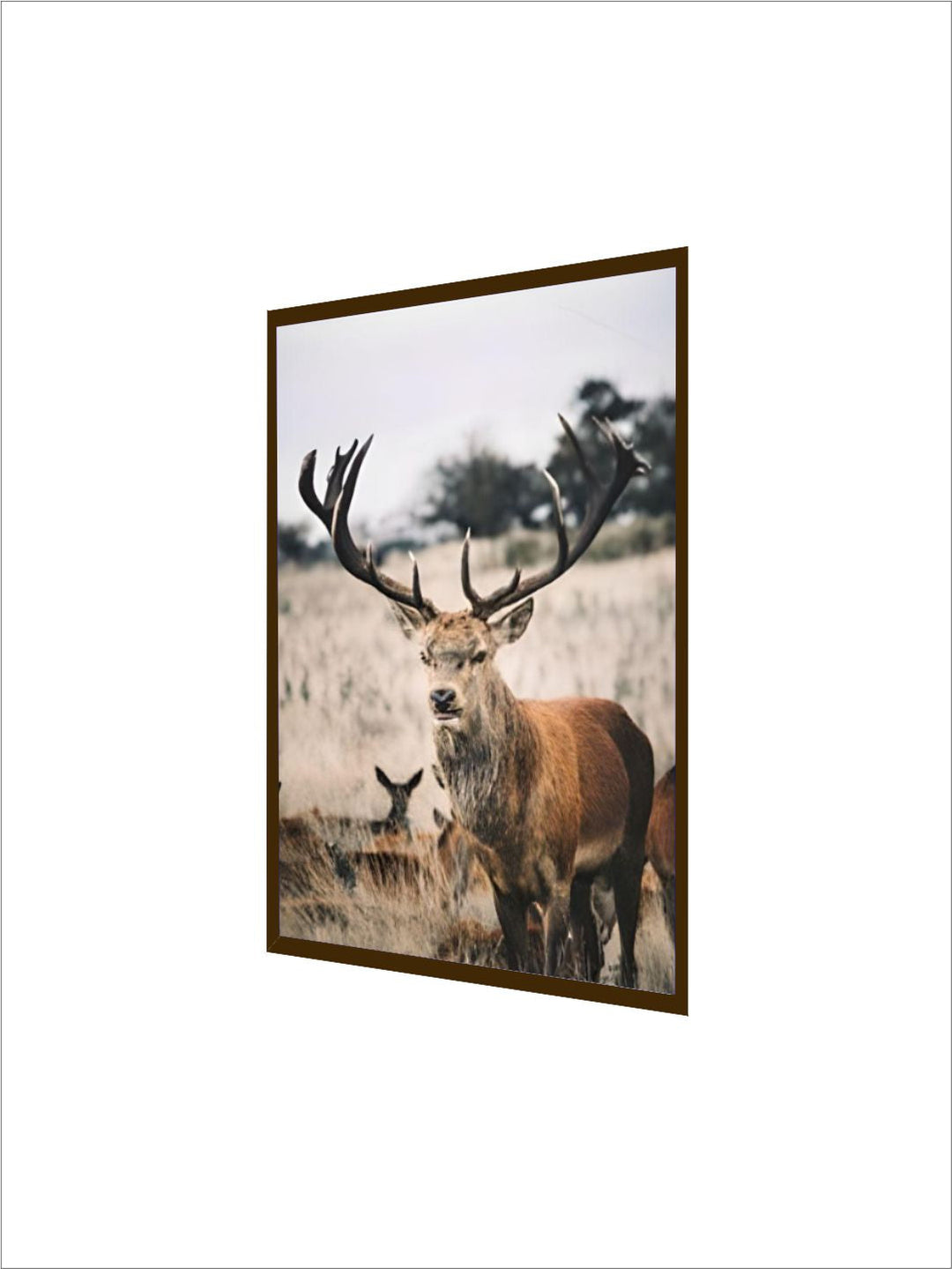Wilderness Mountain Landscape Nordic Wall Art Wild Animals Forest Deer Rustic Wood Tree Rings Fine Art Canvas Prints Scandinavian Style Home Interior Decor