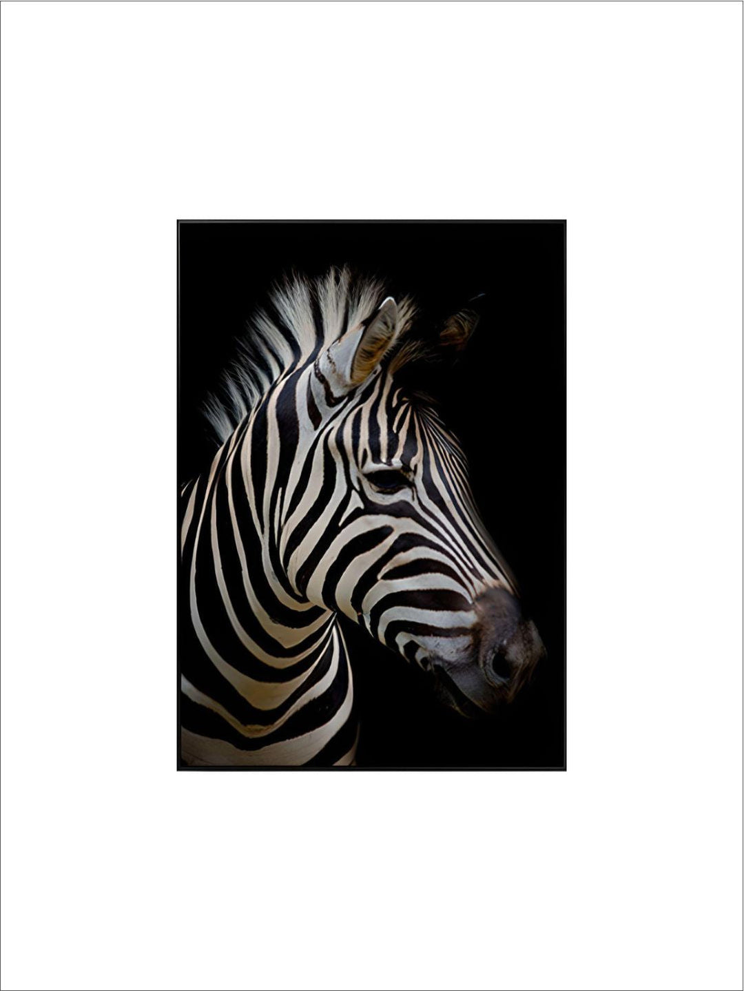 Black & White Wild Animals Wall Art Minimalist Nordic Style Fine Art Canvas Prints Modern Pictures Of Nature For Living Room Bedroom Home Office Decor