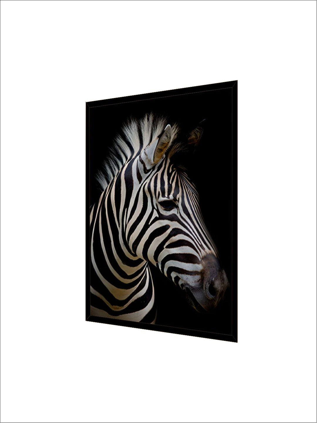 Black & White Wild Animals Wall Art Minimalist Nordic Style Fine Art Canvas Prints Modern Pictures Of Nature For Living Room Bedroom Home Office Decor