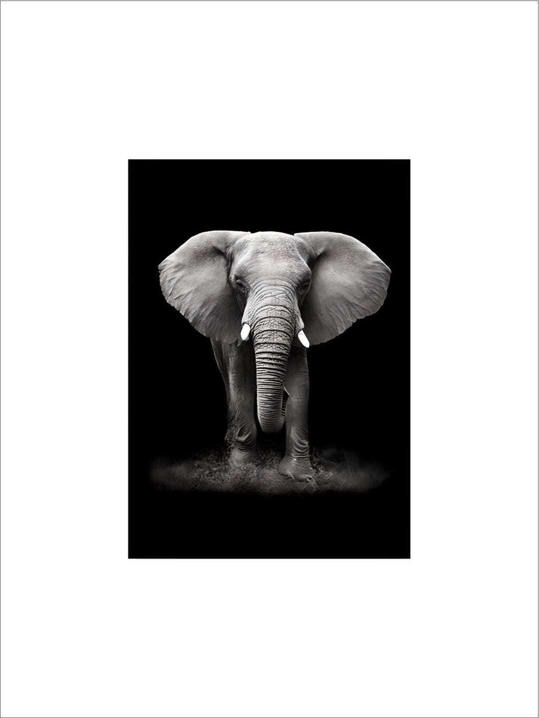 Black & White Wild Animals Wall Art Minimalist Nordic Style Fine Art Canvas Prints Modern Pictures Of Nature For Living Room Bedroom Home Office Decor
