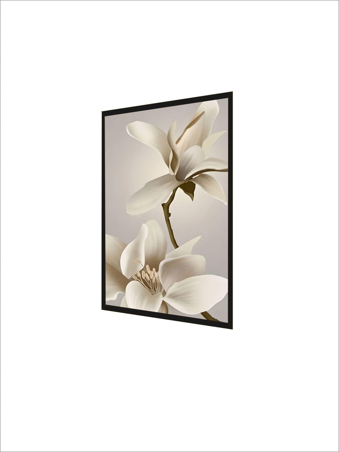Exotic Floral White Petal Wall Art Fine Art Canvas Prints Modern Abstract Botanical Pictures For Living Room Dining Room Home Office Decor