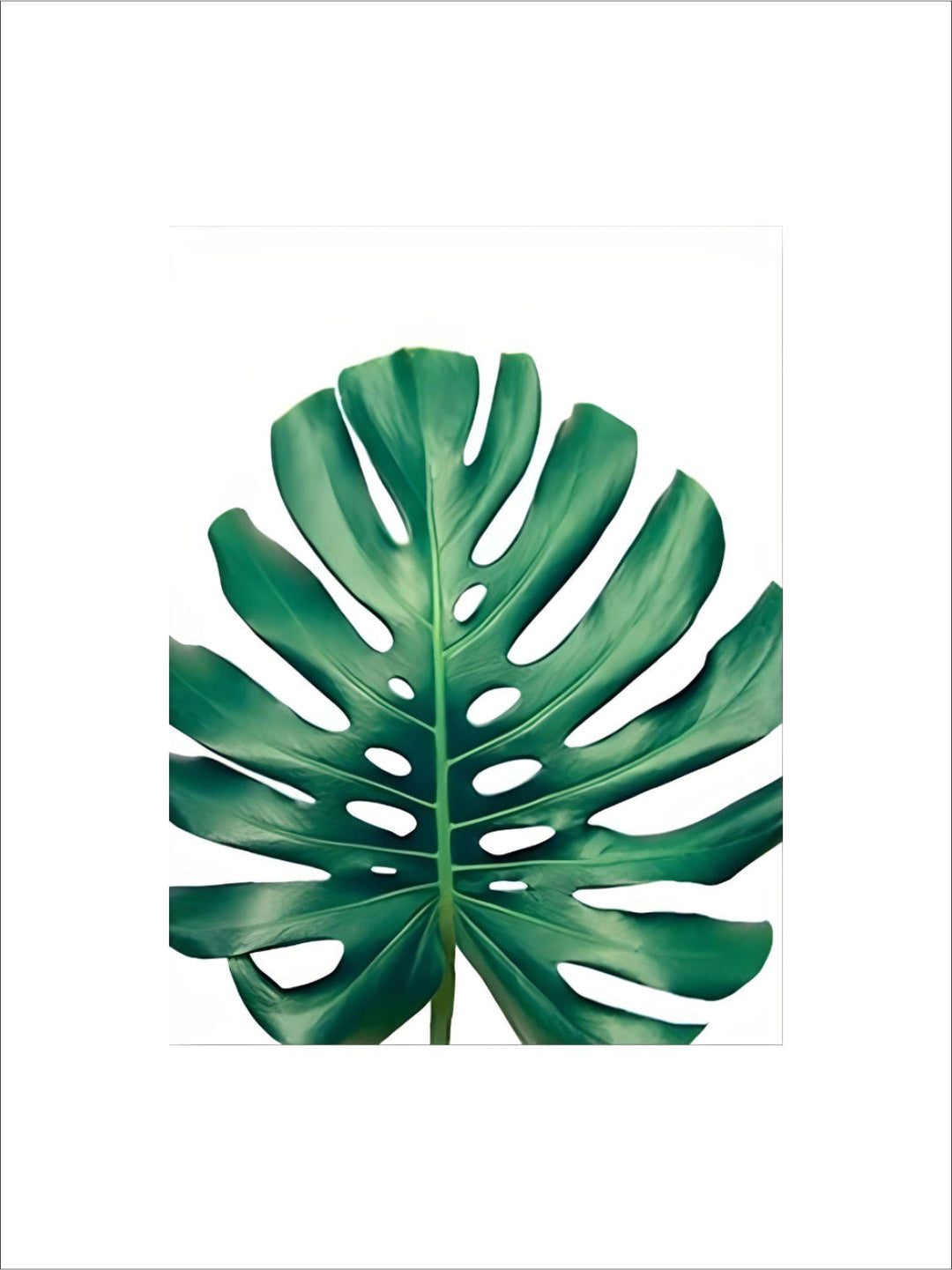 Lush Green Leaves Posters Tropical Plants Flora Fine Art Canvas Prints Nordic Wall Art For Living Room Dining Room Modern Home Decoration