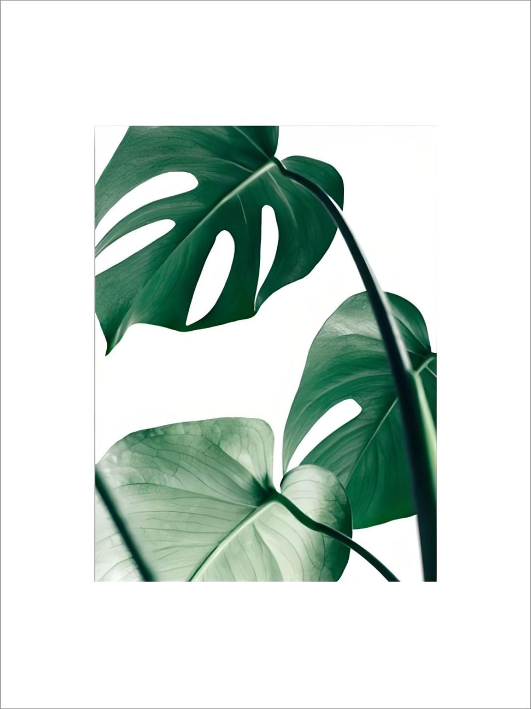 Lush Green Leaves Posters Tropical Plants Flora Fine Art Canvas Prints Nordic Wall Art For Living Room Dining Room Modern Home Decoration