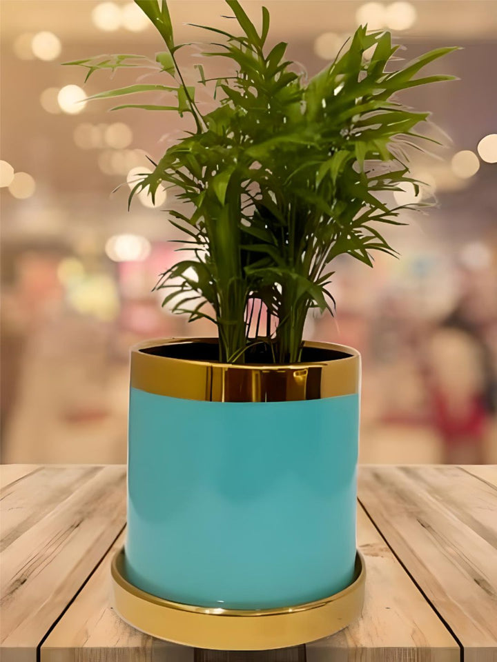 Planter