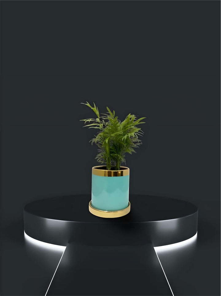 Planter