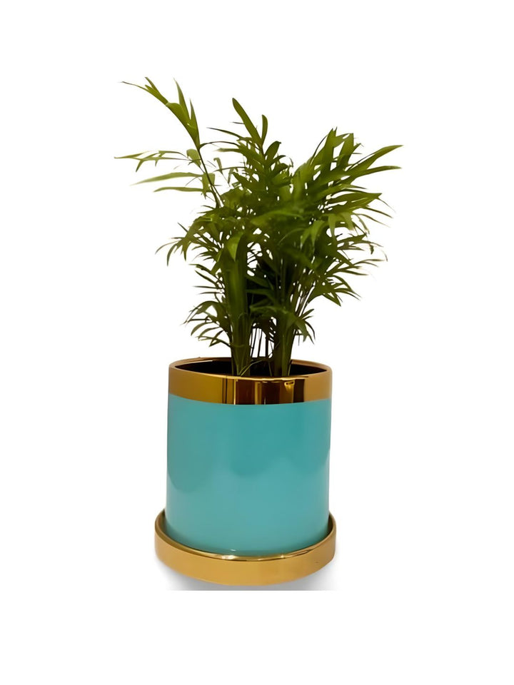 Planter